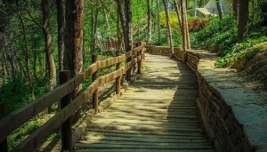 بهترین پارک‌های تهران برای پیاده روی: پارک طالقانی