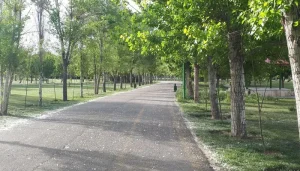 بهترین پارک‌های تهران برای پیاده روی: پارک آزادگان