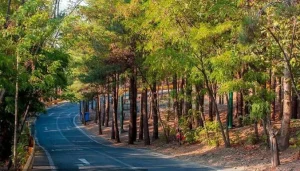 بهترین پارک‌های تهران برای پیاده روی: پارک چیتگر