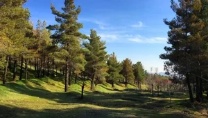 مکان‌های تفریحی تهران برای جوانان: پارک جنگلی لویزان