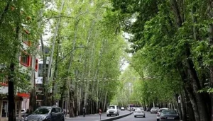 بهترین خیابان‌های تهران برای پیاده روی: ولیعصر