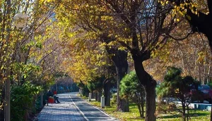بهترین خیابان‌های تهران برای پیاده روی: بلوار کشاورز