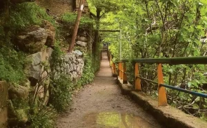 جاهای دیدنی تهران در روز: درکه