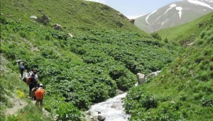 بهترین روستاهای اطراف تهران : آهار