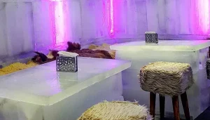 عجیب‌ترین کافه‌های تهران: کافه یخ