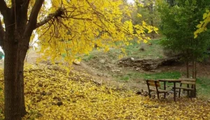 جاهای دیدنی تهران در پاییز: سرخه حصار