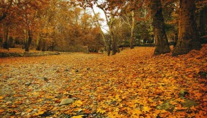 جاهای دیدنی تهران در پاییز: لیست+ آدرس