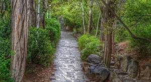 جاهای دیدنی تهران در پاییز : پارک قیطریه