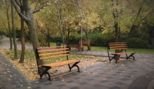 جاهای دیدنی تهران در پاییز : پارک لاله