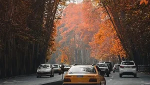 جاهای دیدنی تهران در پاییز : خیابان ولیعصر