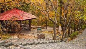 بهترین لوکیشن‌های تهران برای عکاسی در پاییز: پارک جمشیدیه