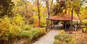 بهترین مکان‌های تهران برای پیاده روی پاییزی: پرک جمشیدیه