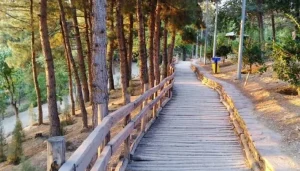 بهترین مکان‌های تهران برای پیاده روی پاییزی: پارک طالقانی