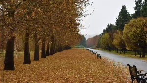 بهترین مکان‌های تهران برای پیاده روی پاییزی: باغ گیاه شناسی
