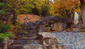 بهترین جای تهران برای گردش: پارک جمشیدیه