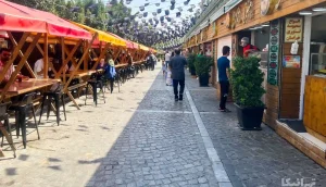 بهترین غذای دریایی تهران: باب همایون