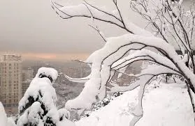 جاهای تفریحی تهران در فصل زمستان : معرفی