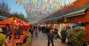 جاهای دیدنی تهران در فصل زمستان: باب همایون