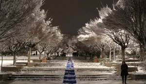 بهترین جا برای برف بازی در تهران : پارک نیاوران