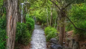 گردش برای دور شدن از استرس در تهران: پارک جمشیدیه