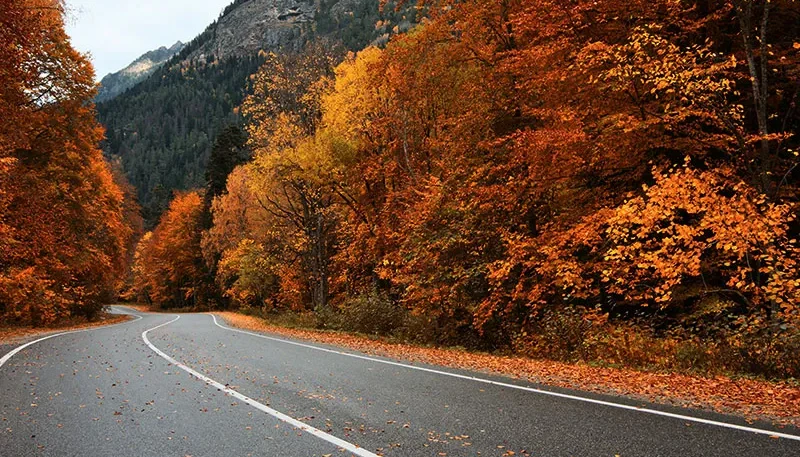 بهترین مکان برای تفریح در پاییز در تهران