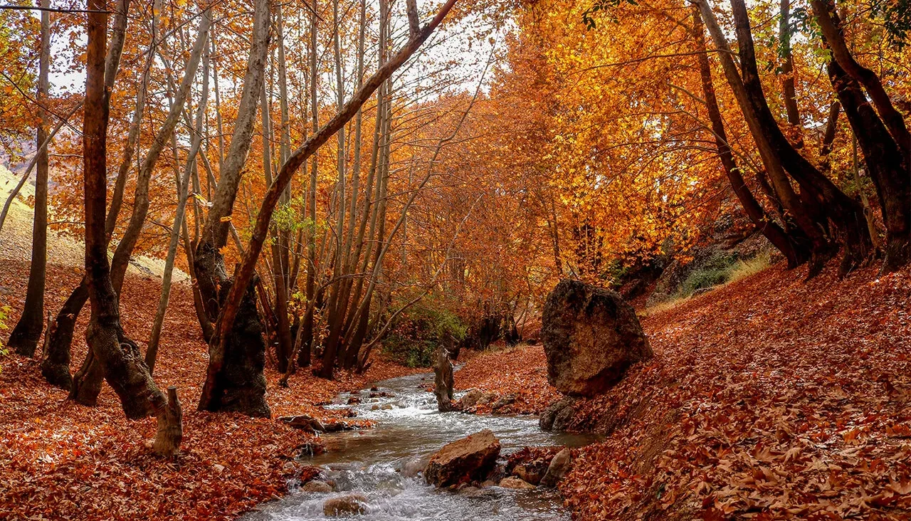 بهترین مکان‌های تهران برای پیاده روی پاییزی